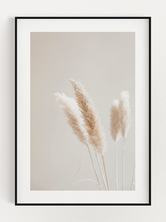 Reed Poster
